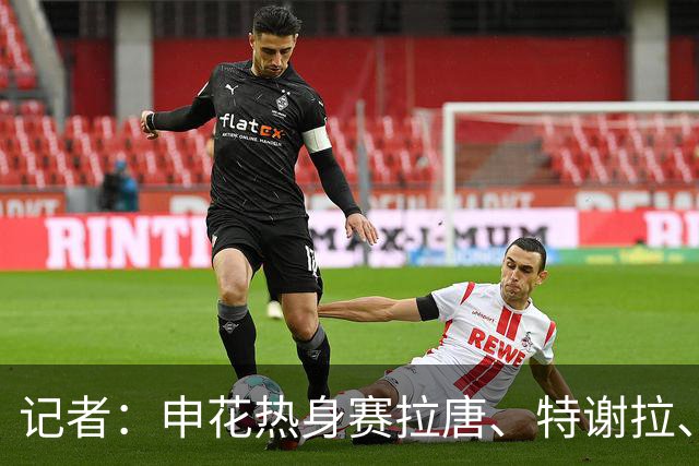 记者：申花热身赛拉唐、特谢拉、米内罗、刘诚宇没有出场